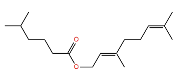 (E)-3,7-Dimethyl-2,6-octadienyl 5-methylhexanoate